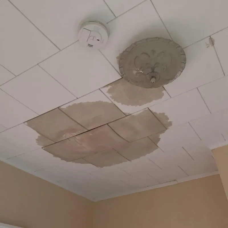 Ceiling Water Damage Repair in Seminole Manor, FL