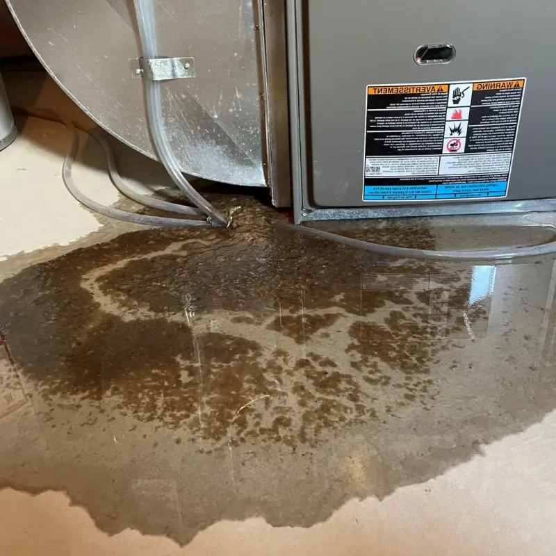 Pipe Burst and Leak Restoration in Seminole Manor, FL